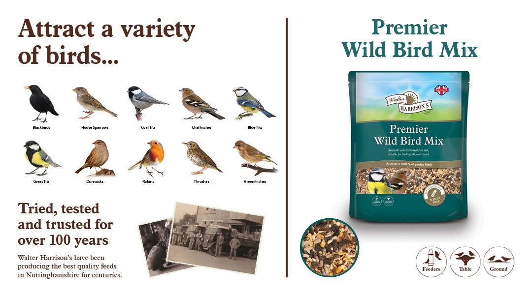 Harrisons_premier_wildbird